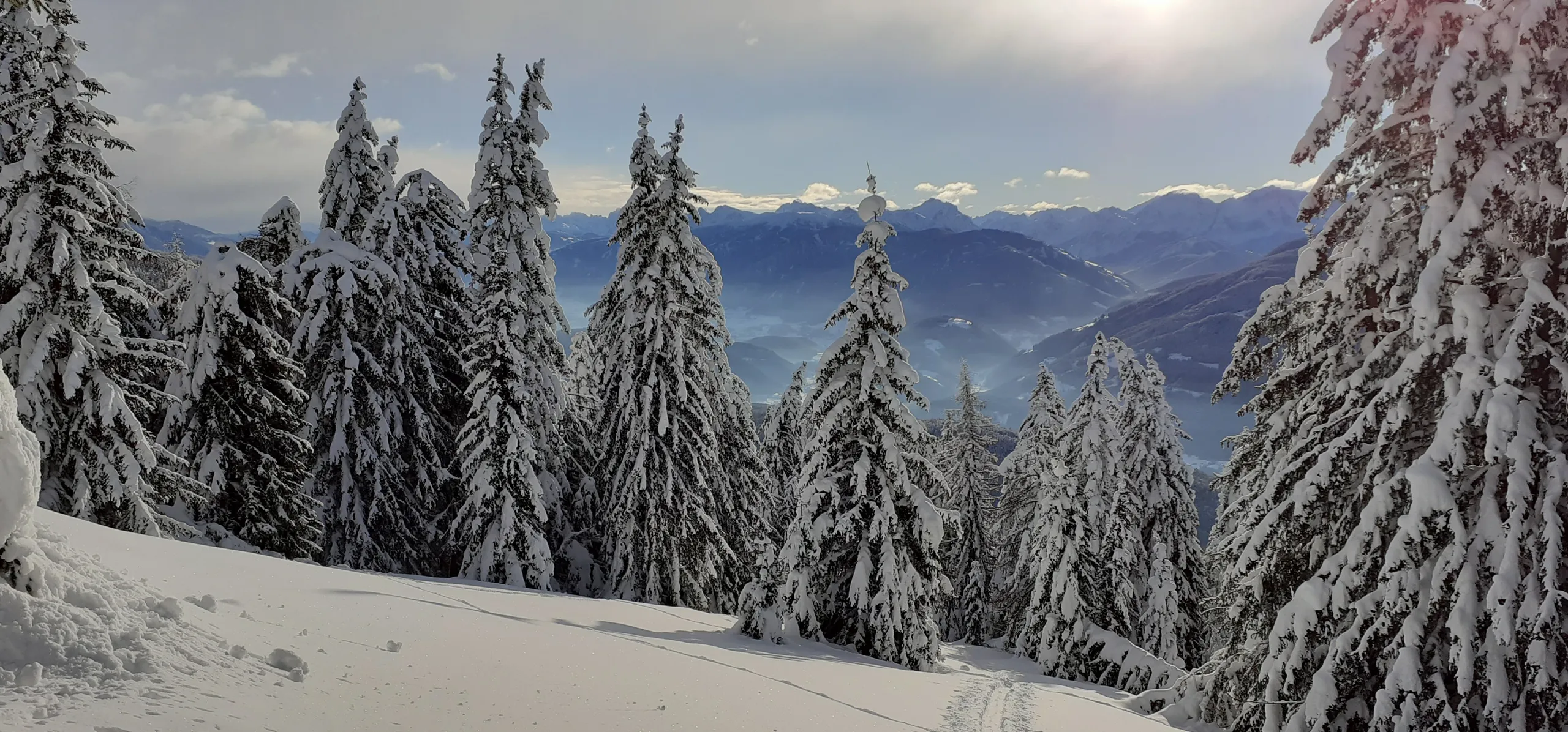winter